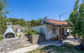 Amazing Home In Donji Zagon With Kitchen
